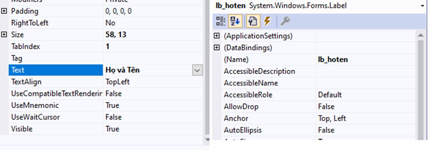 windowform bai1 13 png